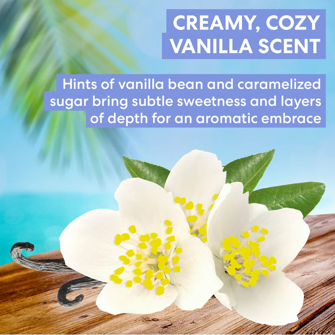 Palmer's Cocoa Butter Formula Tahitian Vanilla Moisture Drenching Body Cream