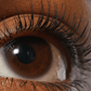 Refy Lash Sculpt